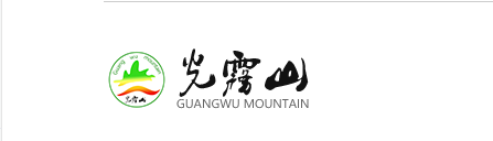 电子发票案例